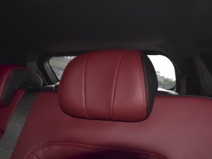 2021T 1.6T DCT܊ 7 g