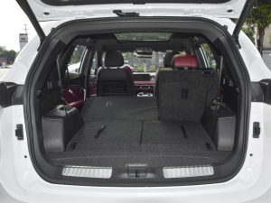 2021T 1.6T DCT܊ 7 g