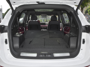 2021T 1.6T DCT܊ 7 g