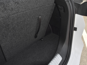 2021T 1.6T DCT܊ 7 g