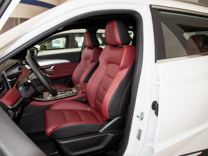 2021PLUS Ŀ 1.5T DCTɽPRO 7 g