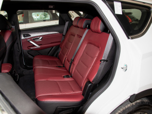 2021PLUS Ŀ 1.5T DCTɽPRO 7 g