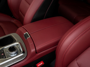 2021PLUS Ŀ 1.5T DCTɽPRO 7 g