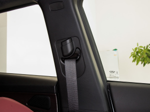 2021PLUS Ŀ 1.5T DCTɽPRO 7 g