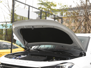 2021T 1.6T DCT 7 l(f)(dng)C(j)œ