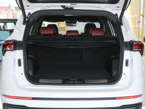 2021T 1.6T DCT܊ 5 g