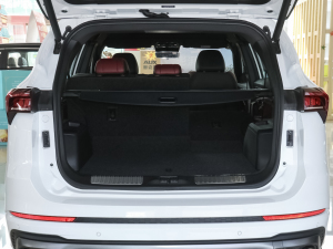 2021T 1.6T DCT܊ 5 g