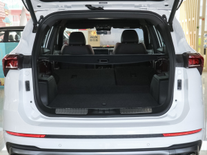 2021T 1.6T DCT܊ 5 g