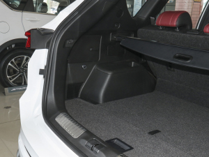 2021T 1.6T DCT܊ 5 g