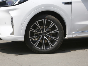 2021T 1.6T DCTP 5 ݆Ȧ