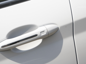 2021T 1.6T DCTP 5 (x)(ji)^