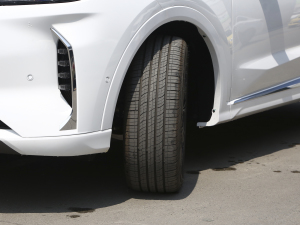 2021T 1.6T DCTP 5 (x)(ji)^