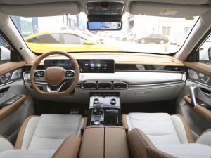 2021T 1.6T DCTP 5 (ni)ȫ