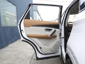 2021T 1.6T DCTP 5 ܇T