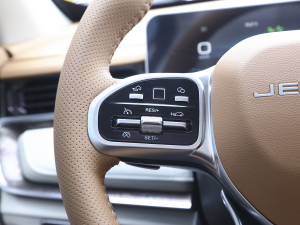 2021T 1.6T DCTP 5 п؅^(q)