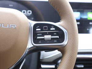 2021T 1.6T DCTP 5 п؅^(q)