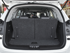 20201.5T DCTӰǰ 7 g