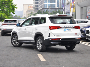 20201.5T DCTӰǰ 5 45