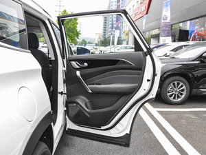 20201.5T DCTӰǰ 5 g