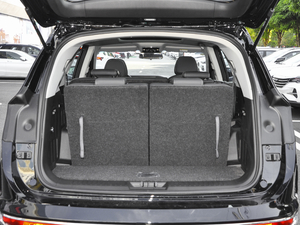 20201.5T DCTӰǰ 6 g