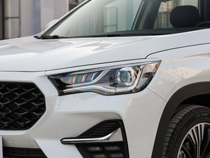 20201.6T DCTӰ 5 (ji)^