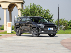 20211.6T 6DCT e ǰ45