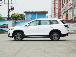 2021款1.5T 手动 府邸 正侧（左）