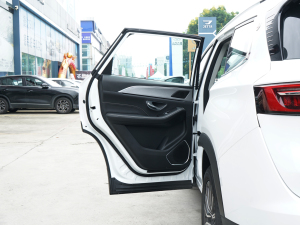 2021款1.5T 手动 府邸 左后车门