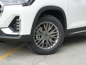 2021款1.5T 手动 洋房 轮圈
