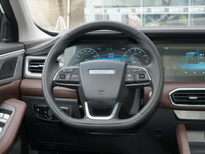 2021款1.5T 手动 洋房 方向盘