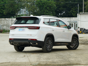 20211.6T 6DCT e Һ45