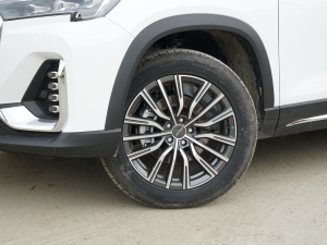 20211.6T 6DCT e ݆Ȧ