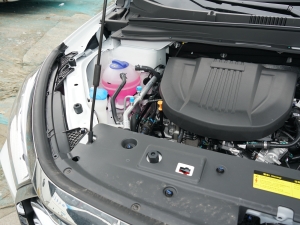 2021款1.6T 6DCT 别墅 其它