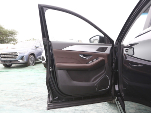 2021款1.6T 6DCT 庄园 驾驶位车门