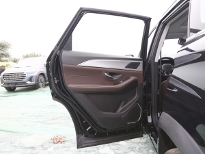 2021款1.6T 6DCT 庄园 左后车门