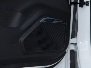 20211.5T DCTӰǰ 5 g