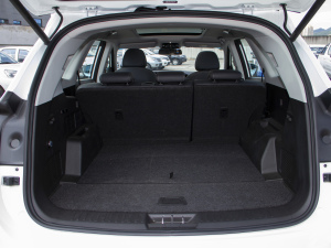 20211.5T DCTӰǰ 5 g