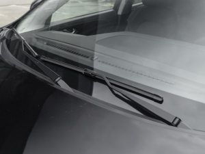 20211.5T քӰȤ 5 ˢ