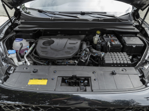 20211.5T քӰȤ 5 lәC