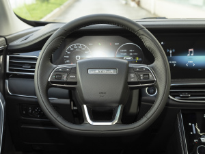 20211.5T DCTӰǰ 7 P