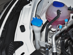 20211.5T ք(dng)ӰȤ 6 