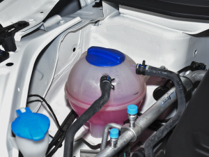 20211.5T ք(dng)ӰȤ 6 