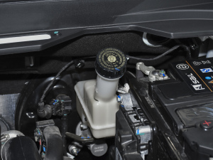 20211.5T ք(dng)ӰȤ 6 