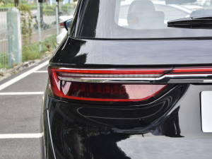 2022 2.0T DCTٰ 7 (ji)^