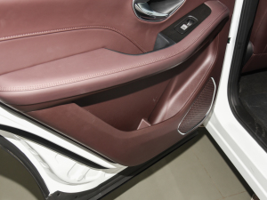 2022 2.0T DCTٰ 5 Tg