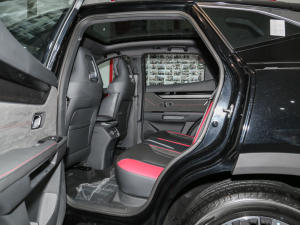 20221.6T DCTPLUS ſg