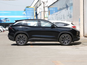 20221.6T DCTMAX ȣң