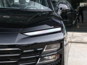 20221.6T DCTULTRA (ji)^