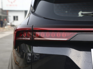 2021PLUS 1.6T DCTPRO 5 ^