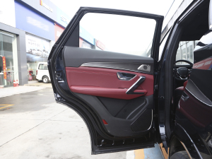 2021PLUS 1.6T DCTPRO 5 ܇T